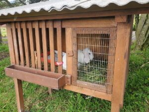 About us balcony to cotopaxi inn ecuador farm5