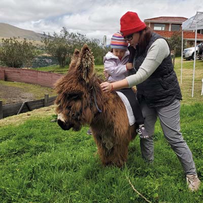 balcony to cotopaxi inn ecuador gallery5