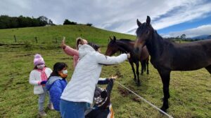 About us balcony to cotopaxi inn ecuador horses1