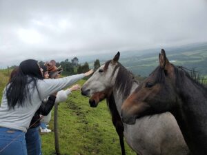 About us balcony to cotopaxi inn ecuador horses4
