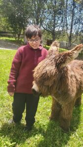 Appreciation farm balcony to cotopaxi inn ecuador farm9