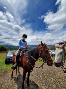 Explore on horseback balcony to cotopaxi inn ecuador horses11