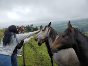 Explore on horseback balcony to cotopaxi inn ecuador horses12