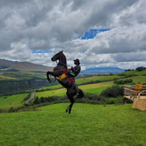 Explore on horseback balcony to cotopaxi inn ecuador horses13