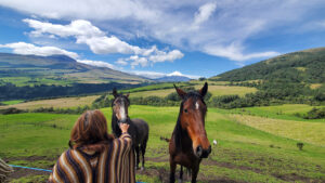 Explore on horseback balcony to cotopaxi inn ecuador horses16