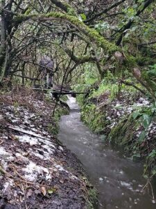 balcony to cotopaxi inn ecuador senderos1