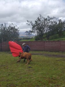 Special packages balcony to cotopaxi inn ecuador special package3